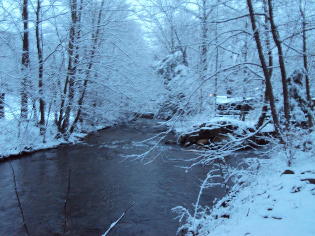 Five Star Inn - Maggie Valley Bagian luar foto